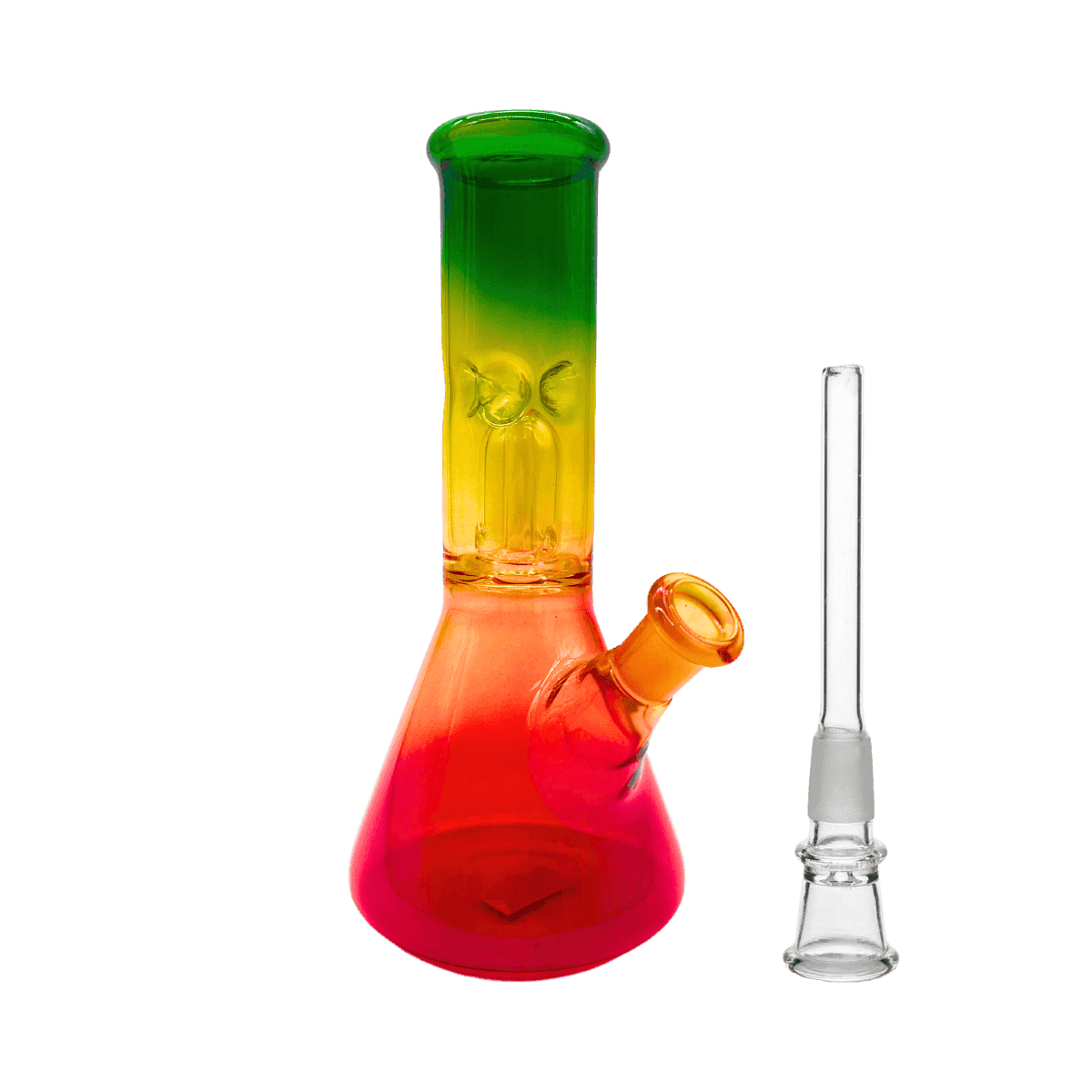 8" Dome Perc Bong - Rasta